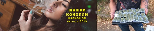 индика Белокуриха
