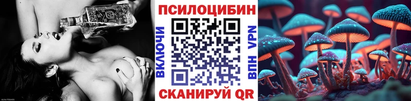 blacksprut вход  Дигора  Псилоцибиновые грибы Psilocybine cubensis  наркота 